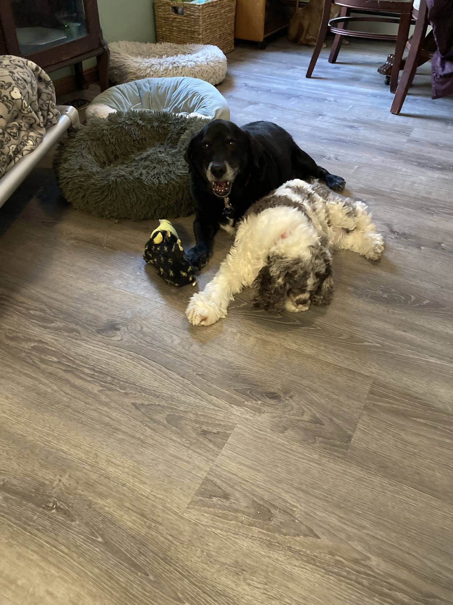 628457787_1431571435421418_5578508070361517991_n