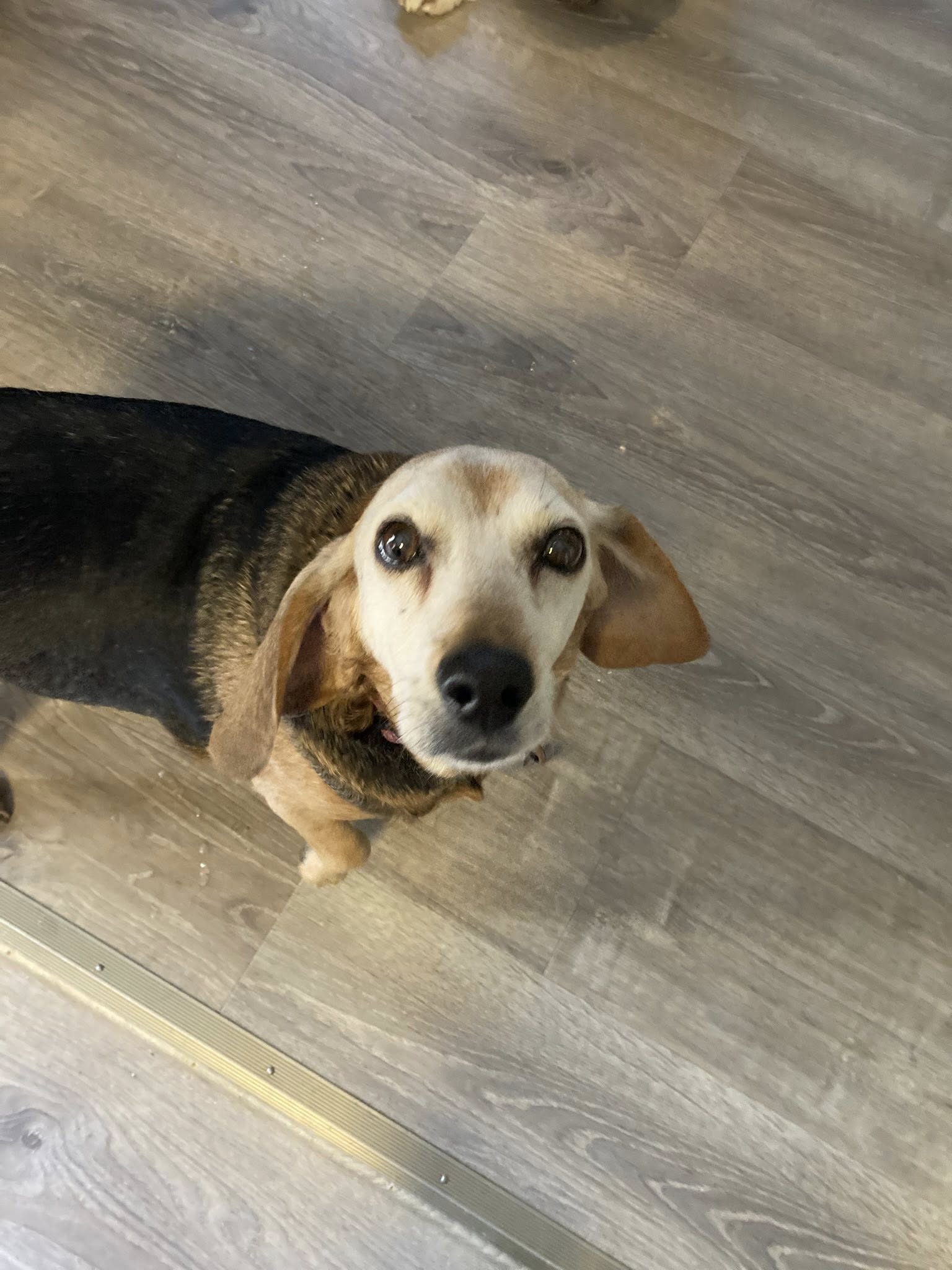 629225279_1431571442088084_250811740392147427_n