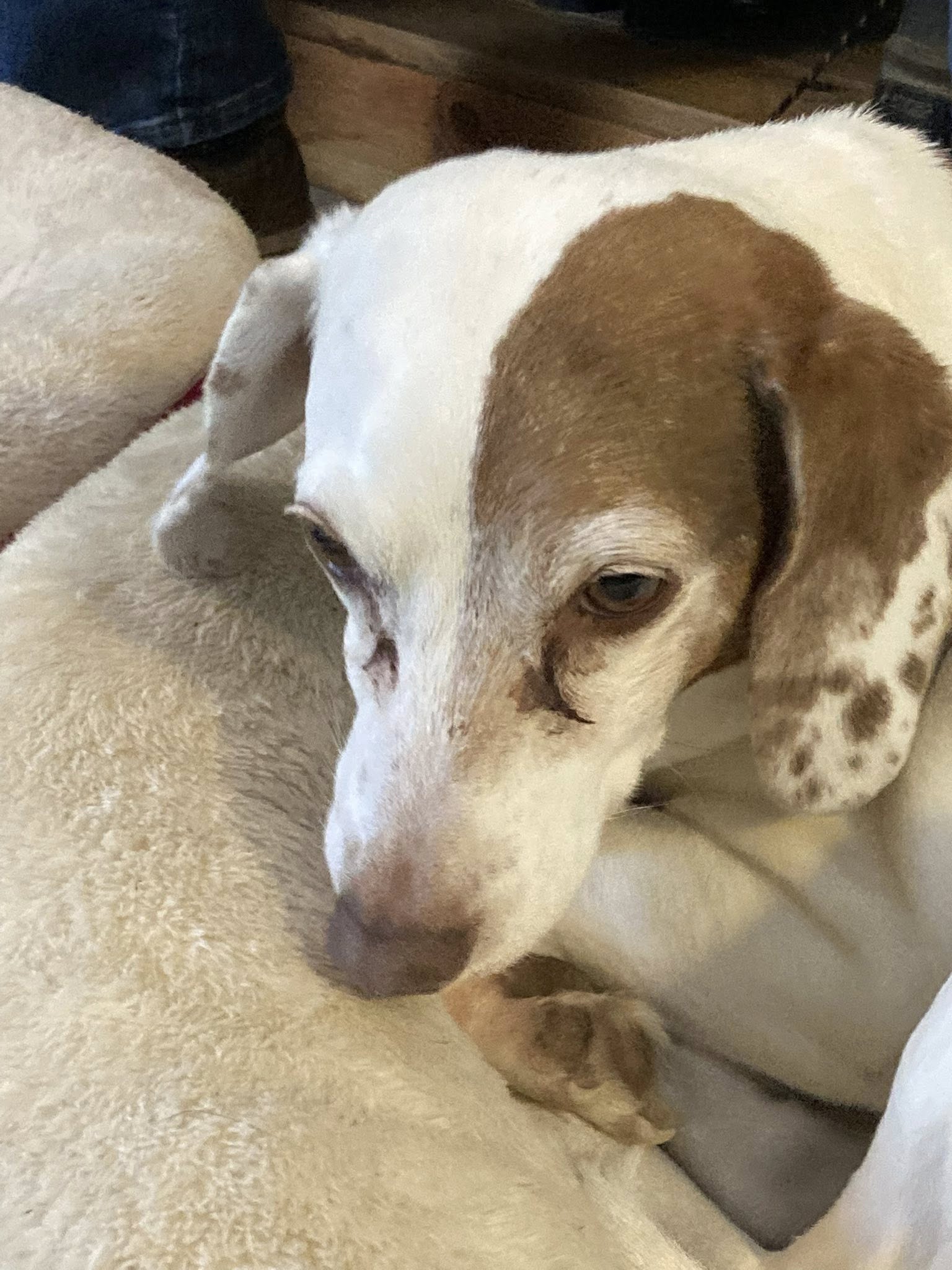 629322941_1431571388754756_2018070622040770816_n