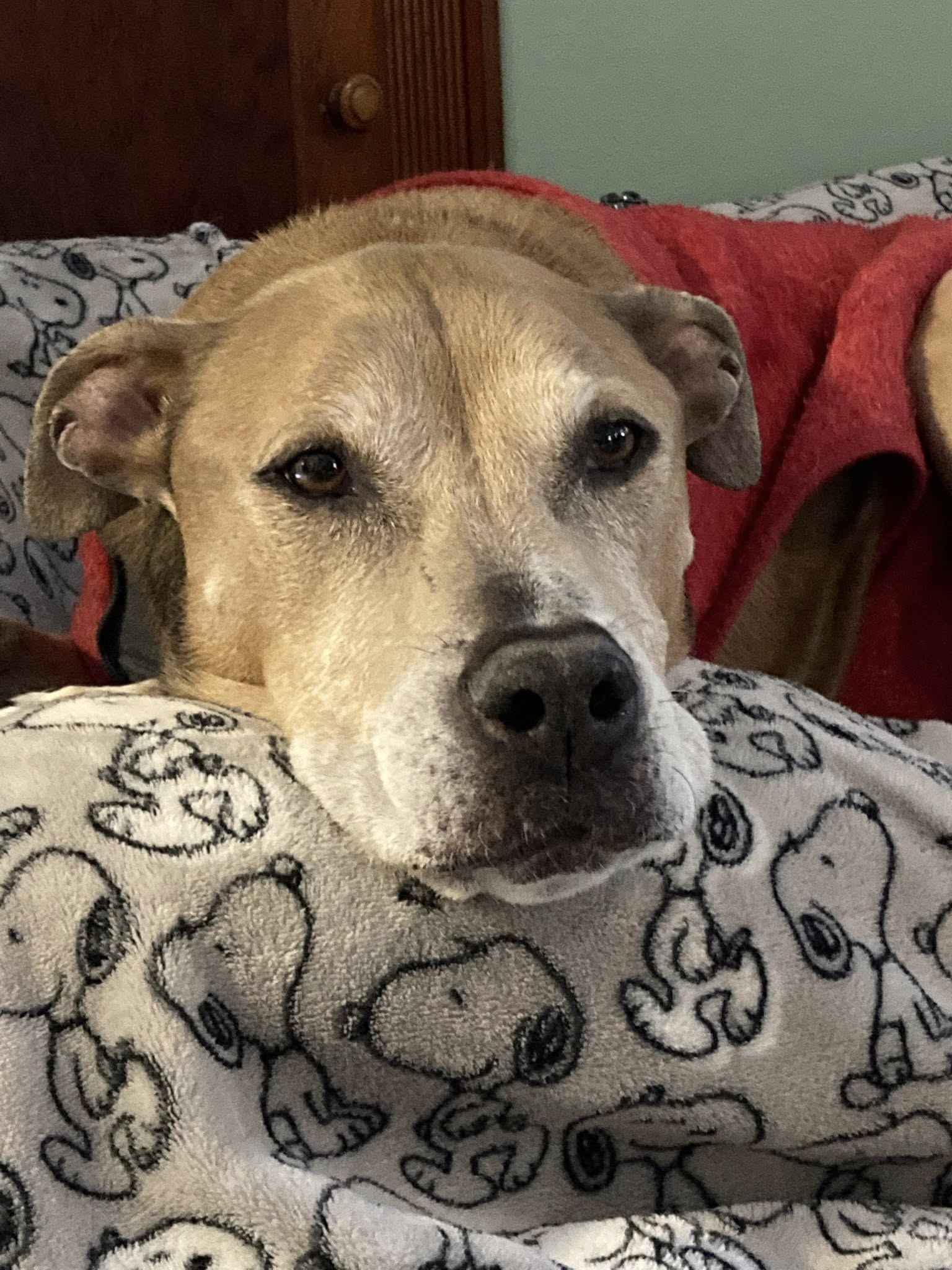 632834669_1431571418754753_6260477925647869069_n