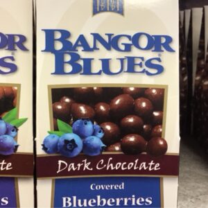 Dark Chocolate covered Blueberries