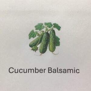 Cucumber Balsamic