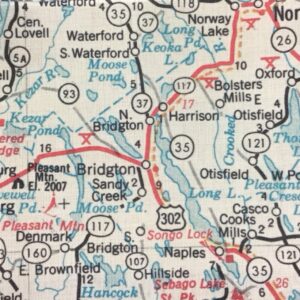 Bridgton placemat single