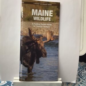 Maine wildlife