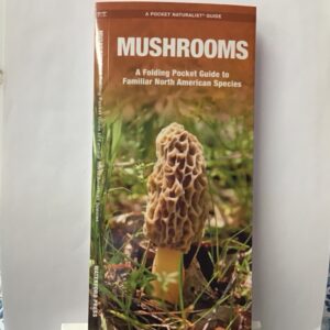 Maine mushrooms