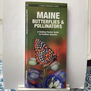 Maine butterflies